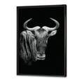 thumbnail image 3 of Designart 'Black and White Portrait Of Wildebeest' Farmhouse Framed Canvas Wall Art Print, 3 of 5