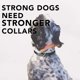 thumbnail image 5 of Collar reflectante para perros, correa ajustable de alta elasticidad, impermeable, a prueba de olores, cinta de nailon con revestimiento resistente., 5 of 5