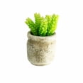 thumbnail image 2 of K-Cliffs Set of 3 Realistic Faux Artificial Succulent Plants in Rustic Cement Pot Planter, 2 of 10
