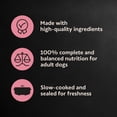 thumbnail image 5 of Cesar Loaf in Sauce Breakfast Flavors Adult Wet Dog Food Variety Pack, 3.5 oz Trays, 12 Ct., 5 of 14