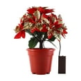 thumbnail image 2 of Tabletop Poinsettia Tree Light Christmas Plant With Lights Poinsettia Flowers Artificial Lighted For Holiday Party Centerpiece Table Decor Christmas-d, 2 of 5
