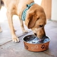 thumbnail image 4 of Cuenco Metálico Loving Pets Cobre Bella Pequeño, 4 of 7