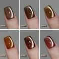 thumbnail image 2 of Set de esmaltes de uñas GAOY Jelly Brown Cat Eye Gel con imán de 7,3 ml, 2 of 6