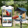 thumbnail image 4 of Comedero para pájaros Kiwibit con cámara 4K y energía solar con IA, 4 of 9