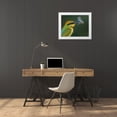 thumbnail image 3 of Ahmadabdelhameed 14x12 White Modern Wood Framed Museum Art Print Titled - Rainbow Bee-Eater, 3 of 4