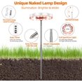 Full Spectrum LED Grow Light for Indoor Plants, Height Adjustable Plant