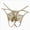 AG, variant on Women's Sexy Pearl Hollow Out Massage Underwear G-String Thongs Panties Lingerie Knickers White