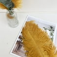 thumbnail image 3 of NANAHuang 10pcs Large Black Ostrich Feathers 16-18 inch Fluffy Feather for Crafts Home Party Decoration Wedding Centerpieces Clothes Vase Decor, 3 of 8