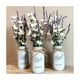 thumbnail image 3 of Frascos Mason Jars 32 Onzas Ball 4 Piezas Vidrio Transparente Recipiente Bebidas Alimentos, 3 of 4