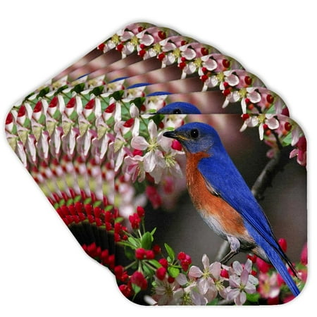 

3dRose Beautiful Bluebird n Cherry Blossoms Set of 8 Coasters - Soft