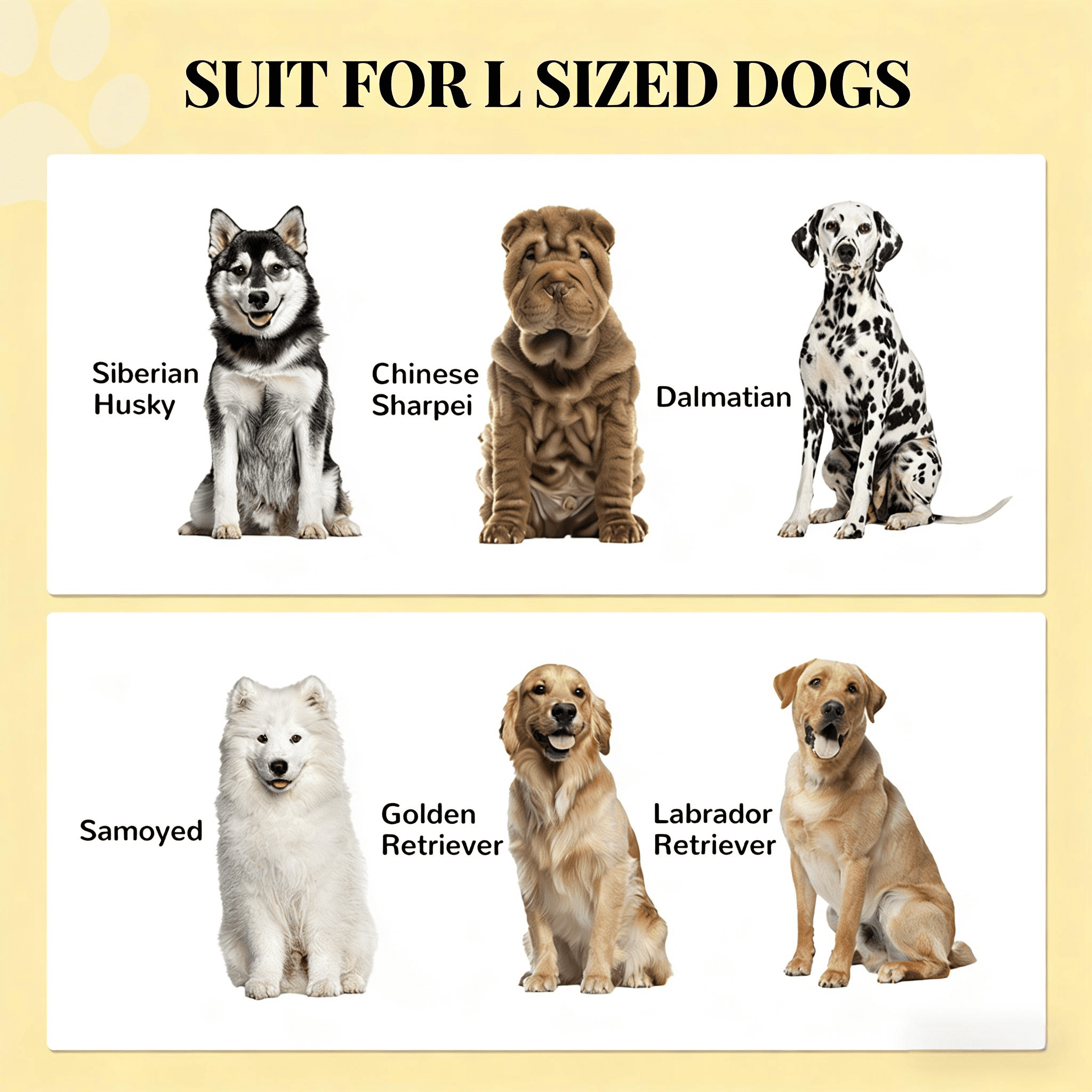 Dog Feeding Station, Dog Food Storage Cabinet
