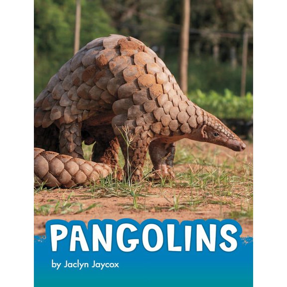 Animals Pangolins, (Hardcover)