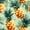 Color 3, variant on Peel and Stick Wallpaper Seamless Pink Pineapple Watercolor Green Leaves 17.7in x 118in Contact Paper Removable Self Adhesive Wall Mural Wall Decor for Bedroom Kitchen Cabinets