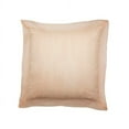 thumbnail image 2 of San Marco Decorative Pillow, 2 of 3