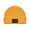 Gold, variant on Crypto Hub Beanie