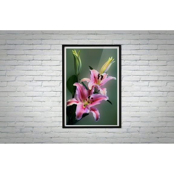 Pink Stargazer Lily Flower Canvas Poster Flower Poster- Poster Print | Wall Decor | Wall Art,Interior wall decoration,bedroom, art deco, frameless 12x16inch
