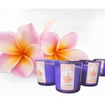 Terreux Mind & Body 8.5 oz Glass Jar Candle with 45 h Burn Time, Plumeria Scented