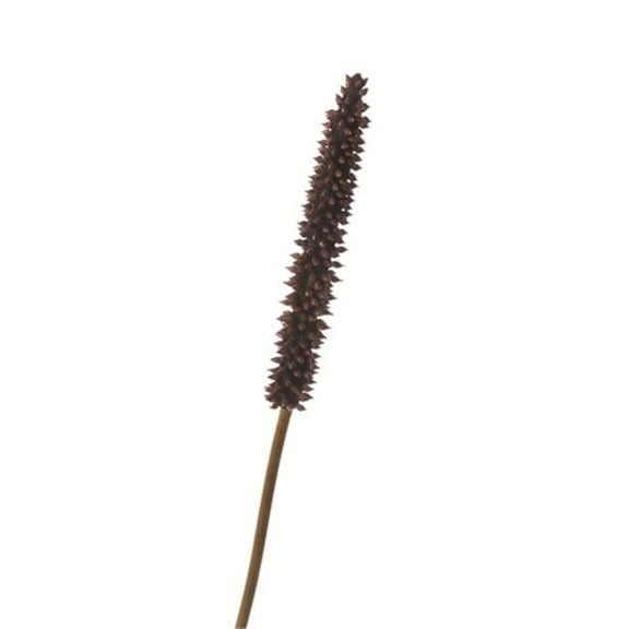 Distinctive Designs DG-239 DIY Foliage 33 in. L Artificial Cierrus Stalk 72 per Case - Pack of 6