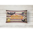 thumbnail image 2 of Carolines Treasures SB3010PW1216 Witch Costume and Broom on Stripes Halloween   Canvas Fabric Decorative Pillow 12H x16W, 2 of 3
