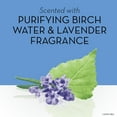thumbnail image 4 of Olay Purifying Birch Water & Lavendar Scent Foaming Whip Body Wash for Women, 10.3 oz, 4 of 7