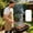 Black, variant on HCBY Extendable BBQ Fork, Food Grade 304 Stainless Steel with Heat Resistant Wooden Handle, Telescopic Dual Prong Design, 6 Color Options for Outdoor BBQ and Campfire Roasting