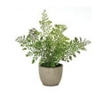 thumbnail image 2 of Melrose Potted Artificial Fern Plants - 11" - Set of 3, 2 of 4