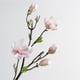 thumbnail image 4 of Flores de magnolia de EVA: realzan la belleza de los hogares, 4 of 7