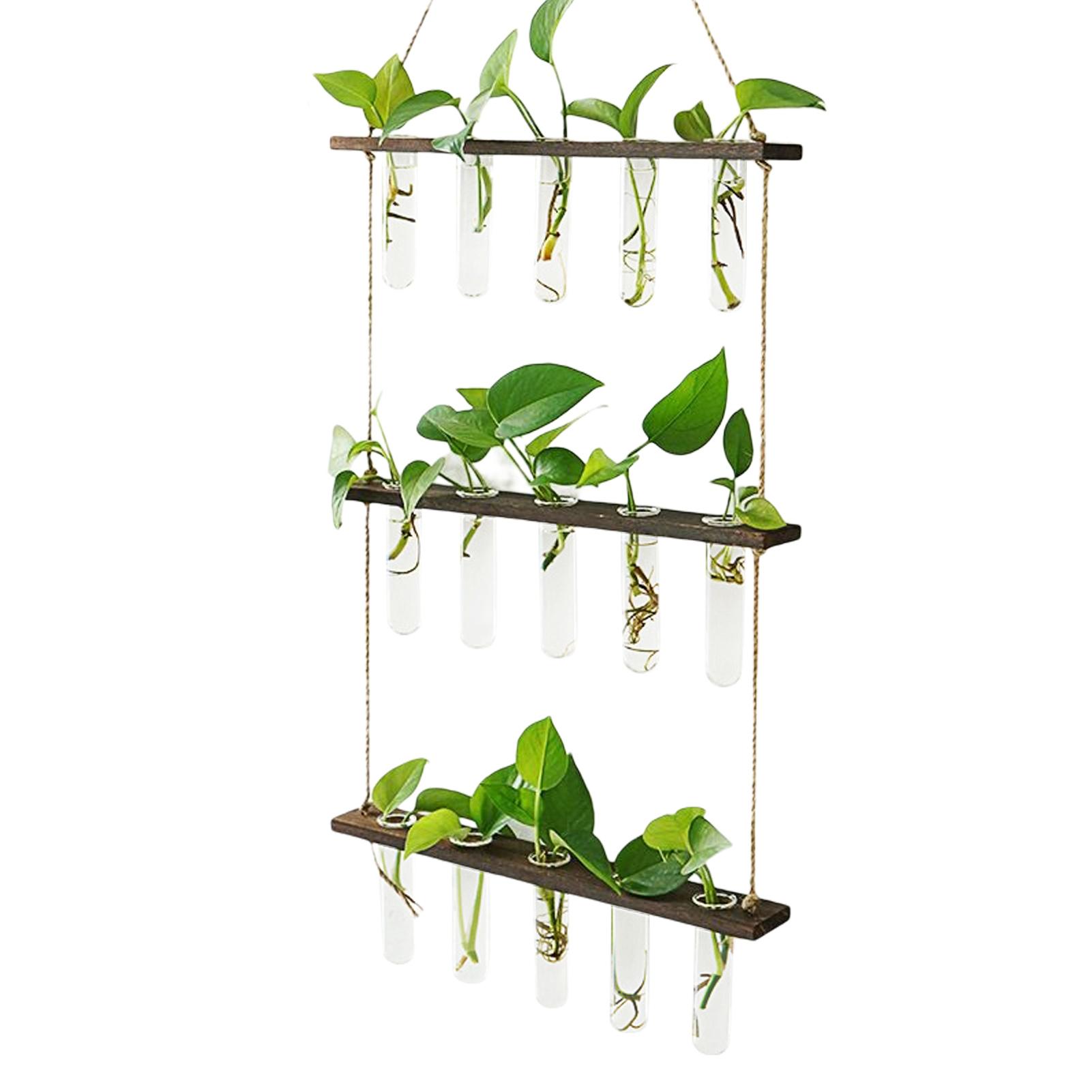 Hanging Glass Vase Hanging Glass Planter Glass Vase Rack Indoor