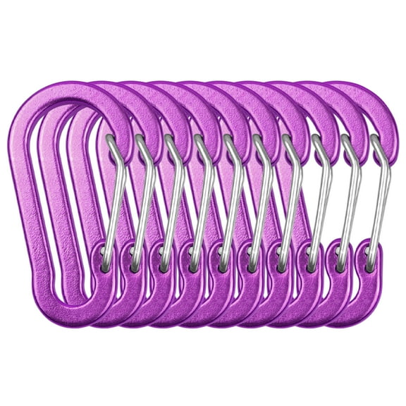 10 Pack Carabiner Clips Mini Aluminum Alloy Keychain Carabiner Clip D Rings for Camping Hiking Fishing Backpacking