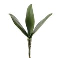 thumbnail image 2 of LCXmlly Fake Plant Home Decor Elegance: Simulation Phalaenopsis Orchid Leaves, 2 of 6