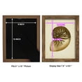 thumbnail image 4 of Sealife Collection V - Framed Print w/glass - Walnut, 4 of 7