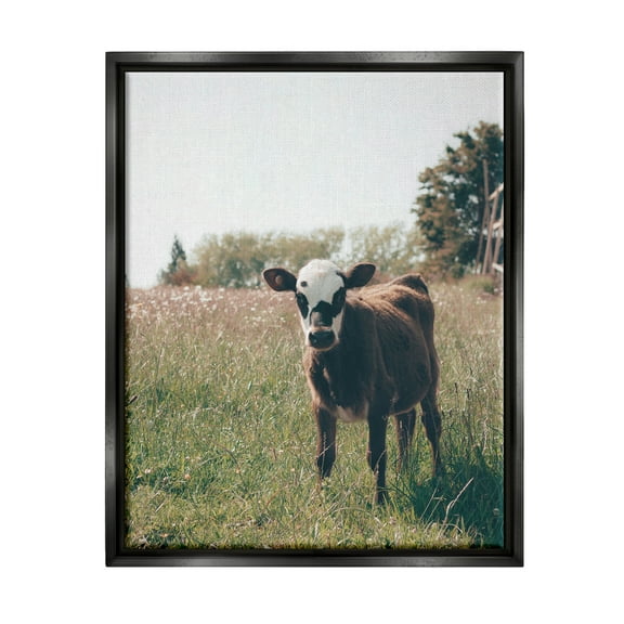 Stupell Industries Cow Calf Rural Farm Meadow Animals & Insects Photography Black Floater Framed Art Print Wall Art