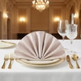 thumbnail image 5 of REGALWOVEN 12 Pack Cloth Napkins, Polyester Washable and Reusable Table Dinner Napkins for Home, Restaurant, Weddings, and Parties Light Purple 18x18inch, 5 of 6