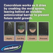 Concrobium Mold Control Multi-Purpose Mold & Mildew Cleaner, Liquid Spray, 32 oz