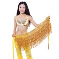 thumbnail image 3 of Ludlz Belly Dance Dancer Costume Sequins Tassels Fringes Hip Scarf Belt Waist Skirt, 3 of 6