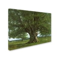 thumbnail image 2 of Trademark Art "The Oak of Flagey" Canvas Art by Gustave Courbet, 2 of 3