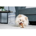 thumbnail image 4 of CHEW N CLEAN DRUMSTICK SM, 4 of 8