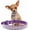 Purple, variant on Mumup Rhinestone Dog Collars for Small Dogs, Pink Pu Leather Fancy Diamond Bling Cat Collar, Glitter Crystal Jeweled Girl Puppy Collars for Female Pet Dogs