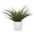 thumbnail image 1 of Bouclair White Textured Ceramic Potted Tropical Plant, 1 of 4