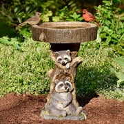 Dhrs Outdoor Bird Bath Bowl, Resin Pedestal Fountain Decoration Compatible With Yard, Garden