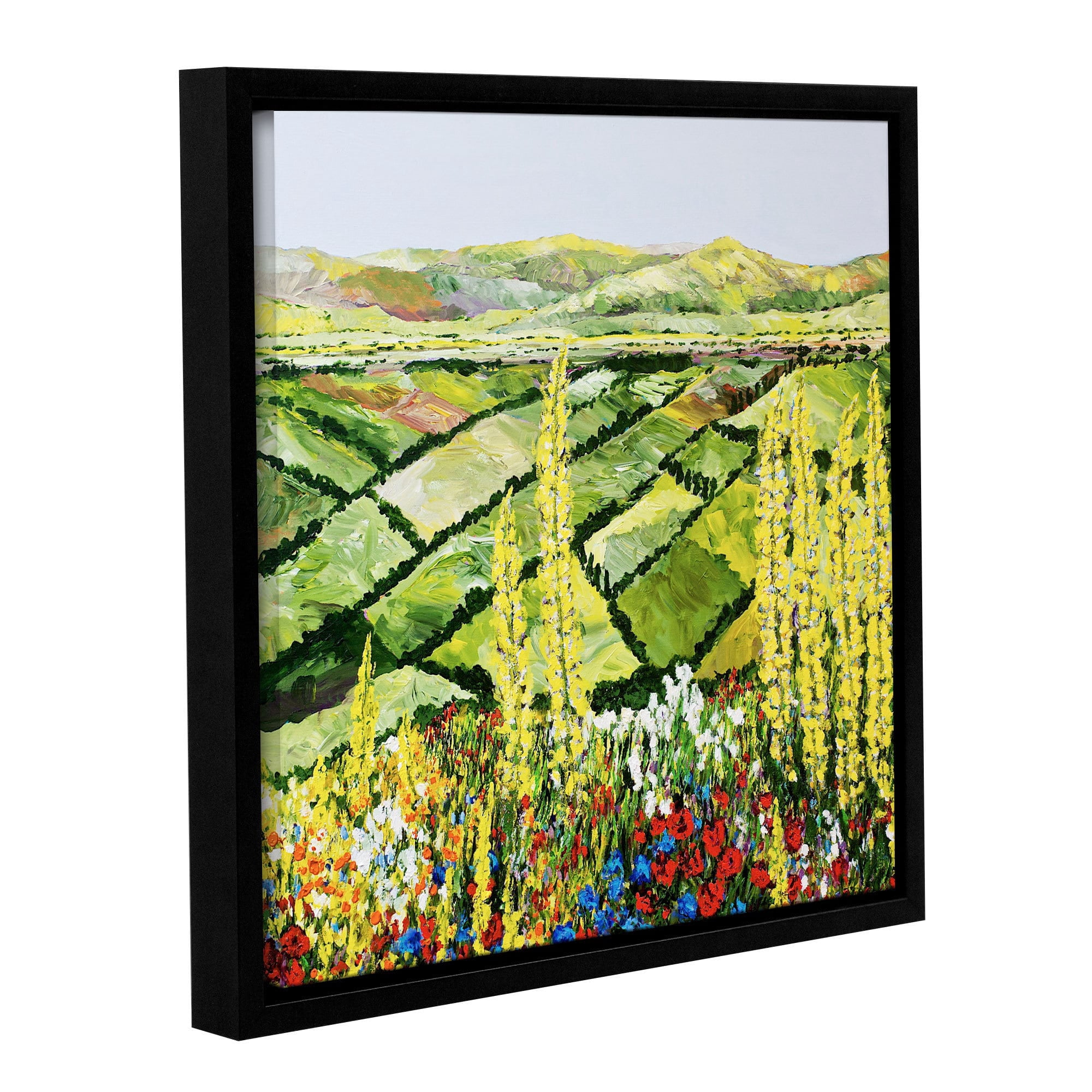 ArtWall Allan Friedlander "Rolling Fields" Gallery-wrapped Floater-framed Canvas