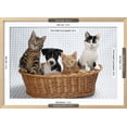 thumbnail image 3 of Dog and Cats Three Kittens and a Puppy Sitting in Basket, Animals Framed Art Print Wall Art Sold by Art.Com, 3 of 6