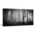thumbnail image 2 of Beautiful Forêt Matinée, 2 of 3
