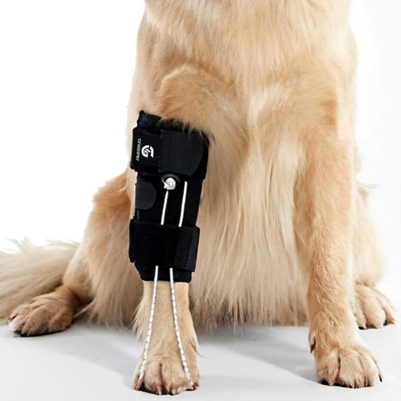 Dog Front Drop Foot Brace Wrap, Knuckling Support Bandage for Paws, Orthopedic Canine Assist