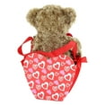thumbnail image 2 of Way to Celebrate Plush Pal in Gift Box – Teddy Bear, 2 of 4