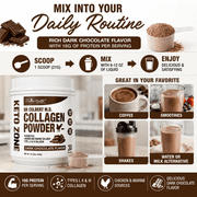 Dr. Colbert, MD Hydrolyzed Collagen Powder | Chocolate Flavor | by Divine Health | Type I, II, III Chicken & Marine Collagen | Keto Zone | Support Hair, Skin, Nails & Joints | 630g | 30 Servings