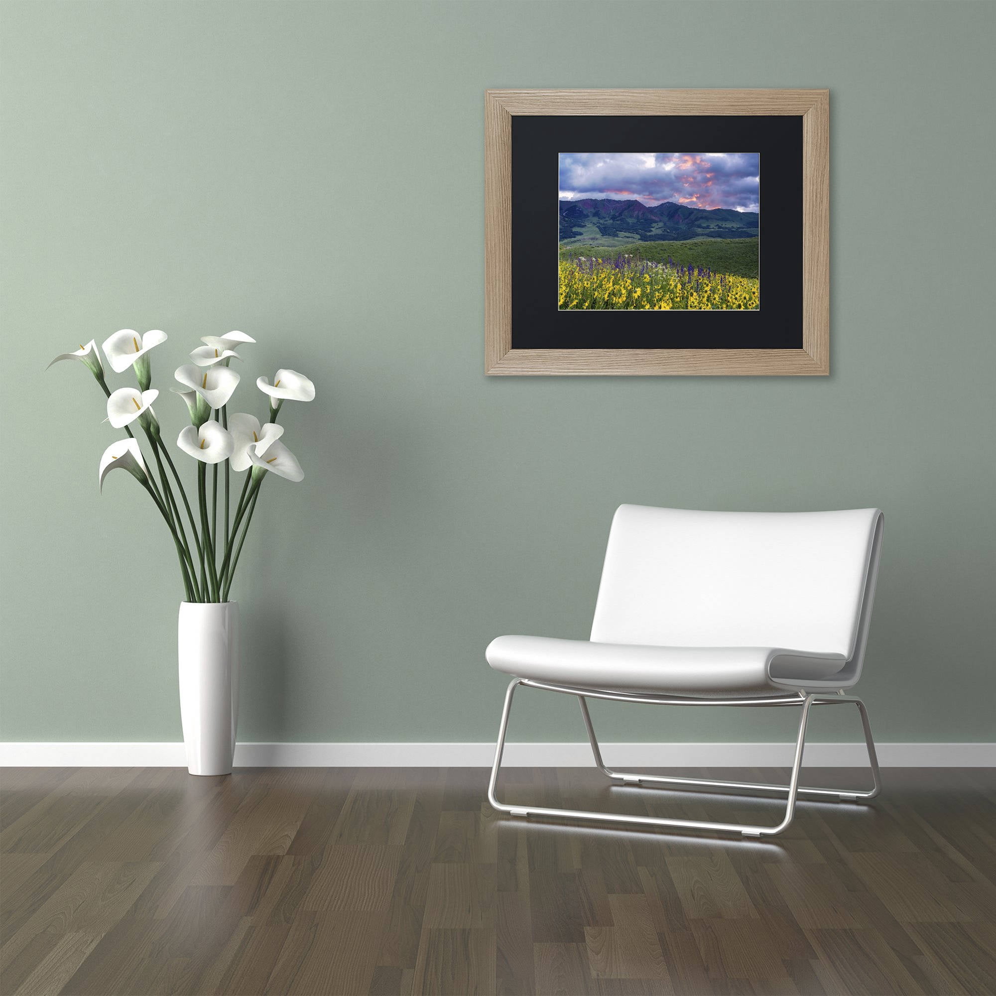 Trademark Fine Art "Crimson Flare" Canvas Art by Michael Blanchette Photography Black Matte, Birch Frame