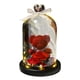 thumbnail image 4 of rosa eterna,rose flor navidad san valentín hada led luz,Caja regalo flores eternas Glass Cover,regalo falso rosas regalos novia,cubierta de vidrio seda floral CUTICAT rosa eterna, 4 of 8