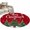 Red, variant on Blue Christmas Area Rugs 8'x10', Washable Small Throw Rugs for Living Room Patio, Xmas Christmas Tree Snowflake Indoor Outdoor Rug Non-Slip Low Pile Carpet Runner Reversible Floor Mats