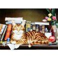thumbnail image 1 of Taladro Pintura Diamante (DE5909) DIY 5D Resina Dibujo Completo Ronda Cat Dream Kit (B770) 30x40cm Hugtrwg Para estrenar, 1 of 1